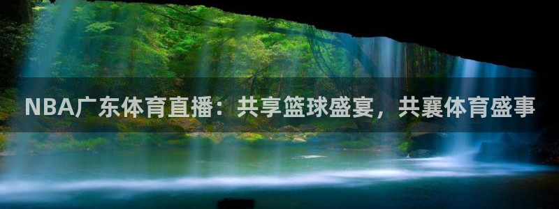 小九英超直播免费观看高清：NBA广东体育直播：共享篮球盛宴，共襄体育盛事