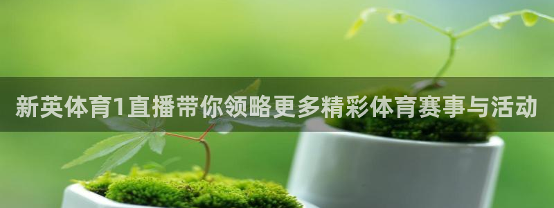 英超直播小九：新英体育1直播带你领略更多精彩体育赛事与活动