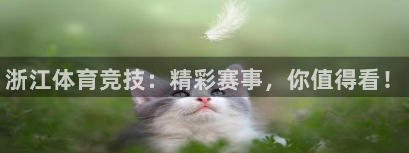nba直播小九直播：浙江体育竞技：精彩赛事，你值得看！