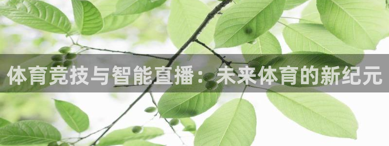 小九乐悠直播nba：体育竞技与智能直播：未来体育的新纪元