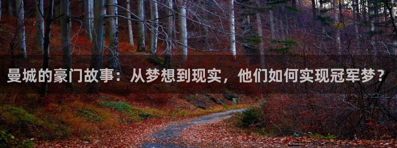 小九直播nba：曼城的豪门故事：从梦想到现实，他们如何实现冠军梦？