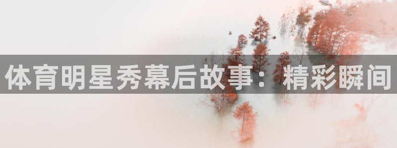 小九直播nba乐悠：体育明星秀幕后故事：精彩瞬间