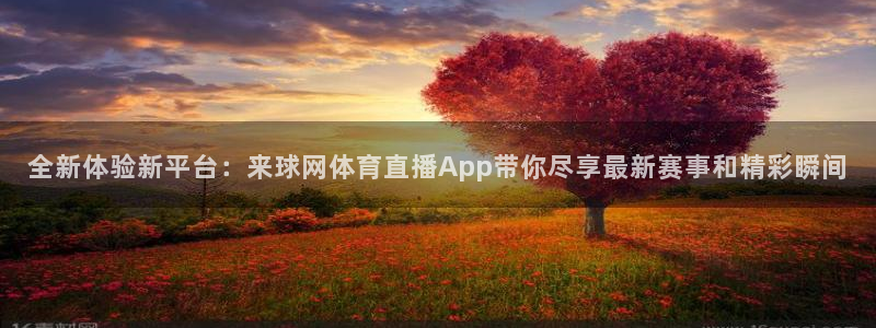 小九nba直播在线观看：全新体验新平台：来球网体育直播App带你尽享最新赛事和精彩瞬间