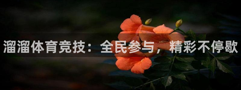 英超直播小九直播：溜溜体育竞技：全民参与，精彩不停歇