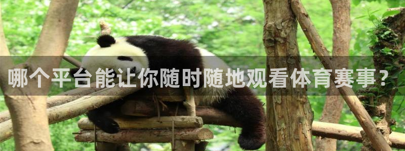 足球小九直播：哪个平台能让你随时随地观看体育赛事？